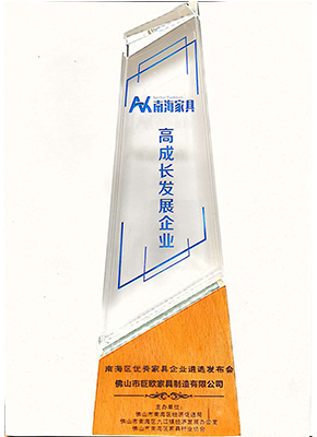 高成長發展企業（yè）