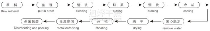 脫水蔬菜帶式幹燥工藝流程（chéng）